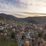 Iconic View Terrace - 2 Private Apartment Brasov